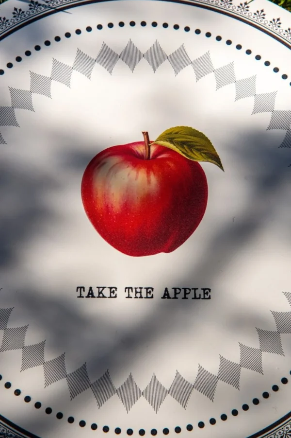 Moroni Gomma TOVAGLIETTA TONDA APPLE